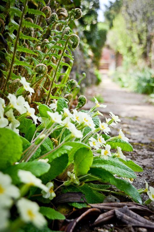 The Longcross Hotel And Gardens Bodmin Ngoại thất bức ảnh